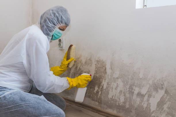 Best Residential Mold Inspection & Testing  in Prairie Grove, IL